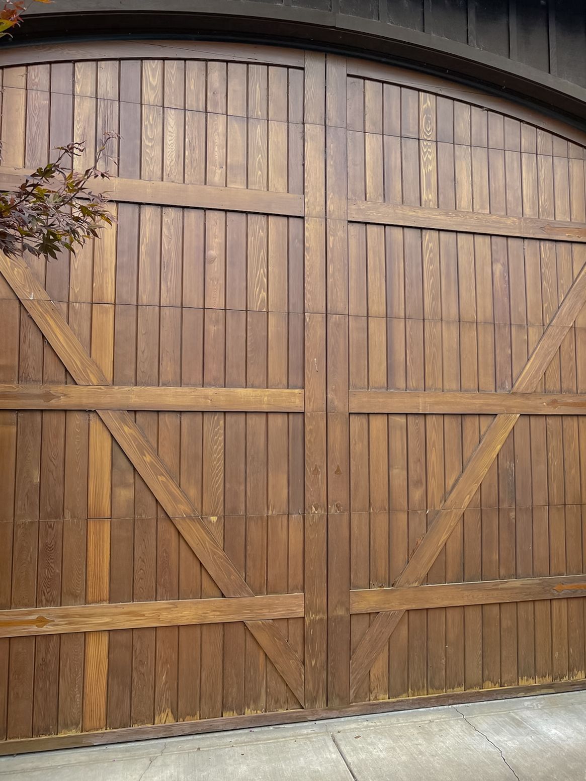 Large wooden arched double doors with diagonal braces and a small tree on the left