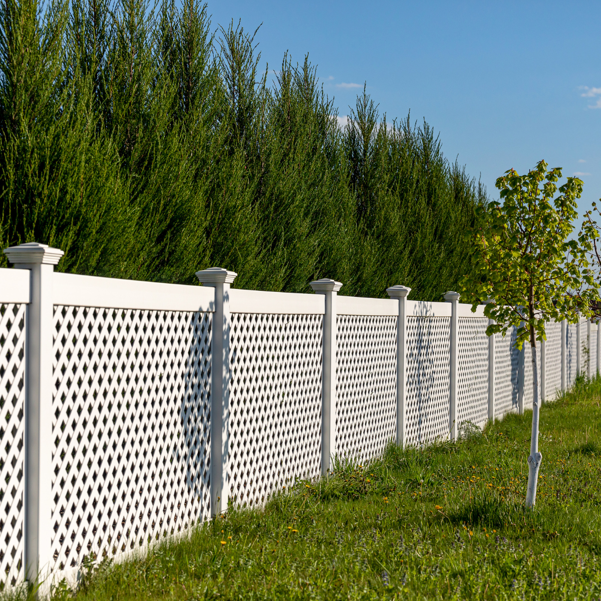 vinyl fence