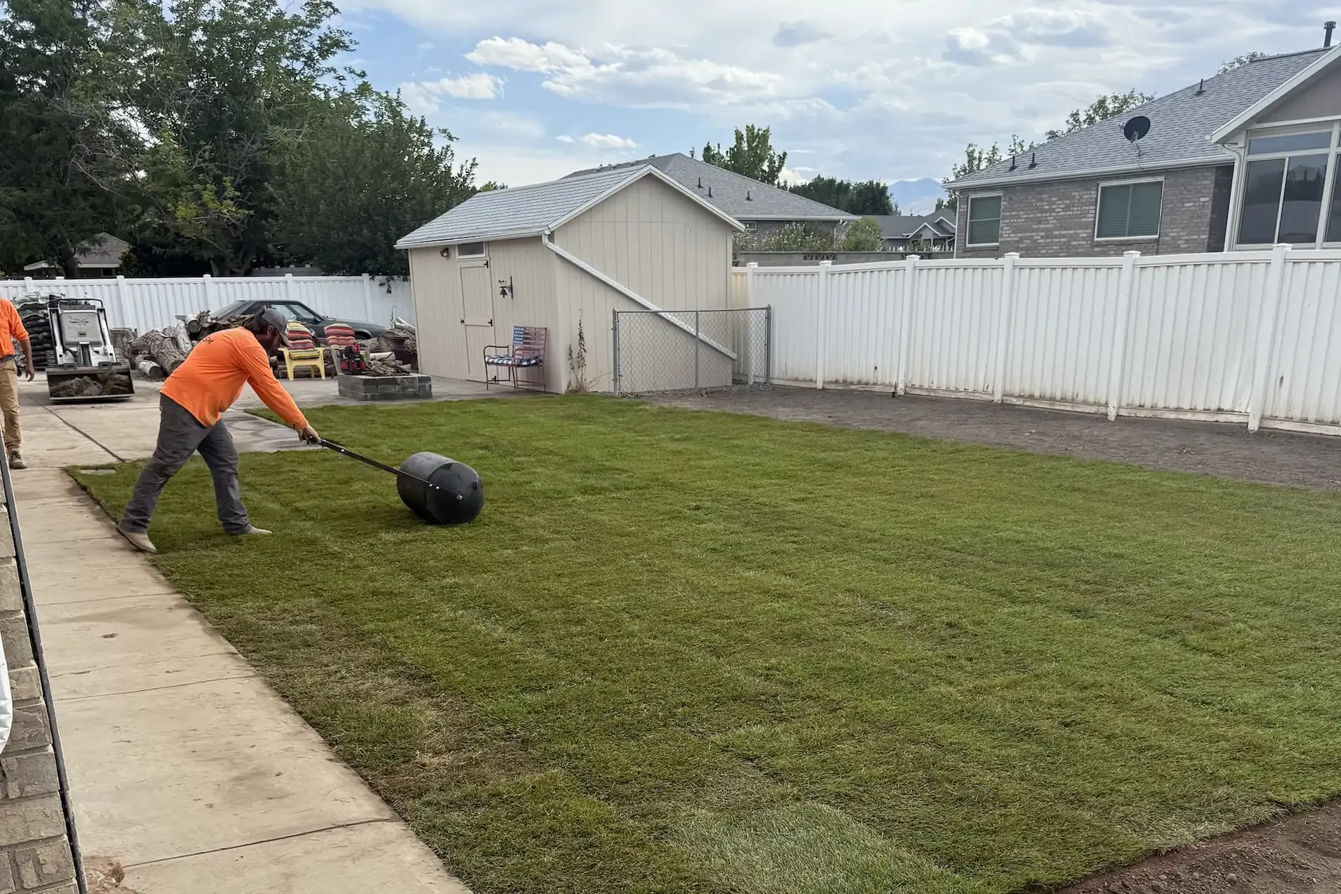 A worker rolls a lawn roller on freshly laid sod in a backyard with a white fence and shed.