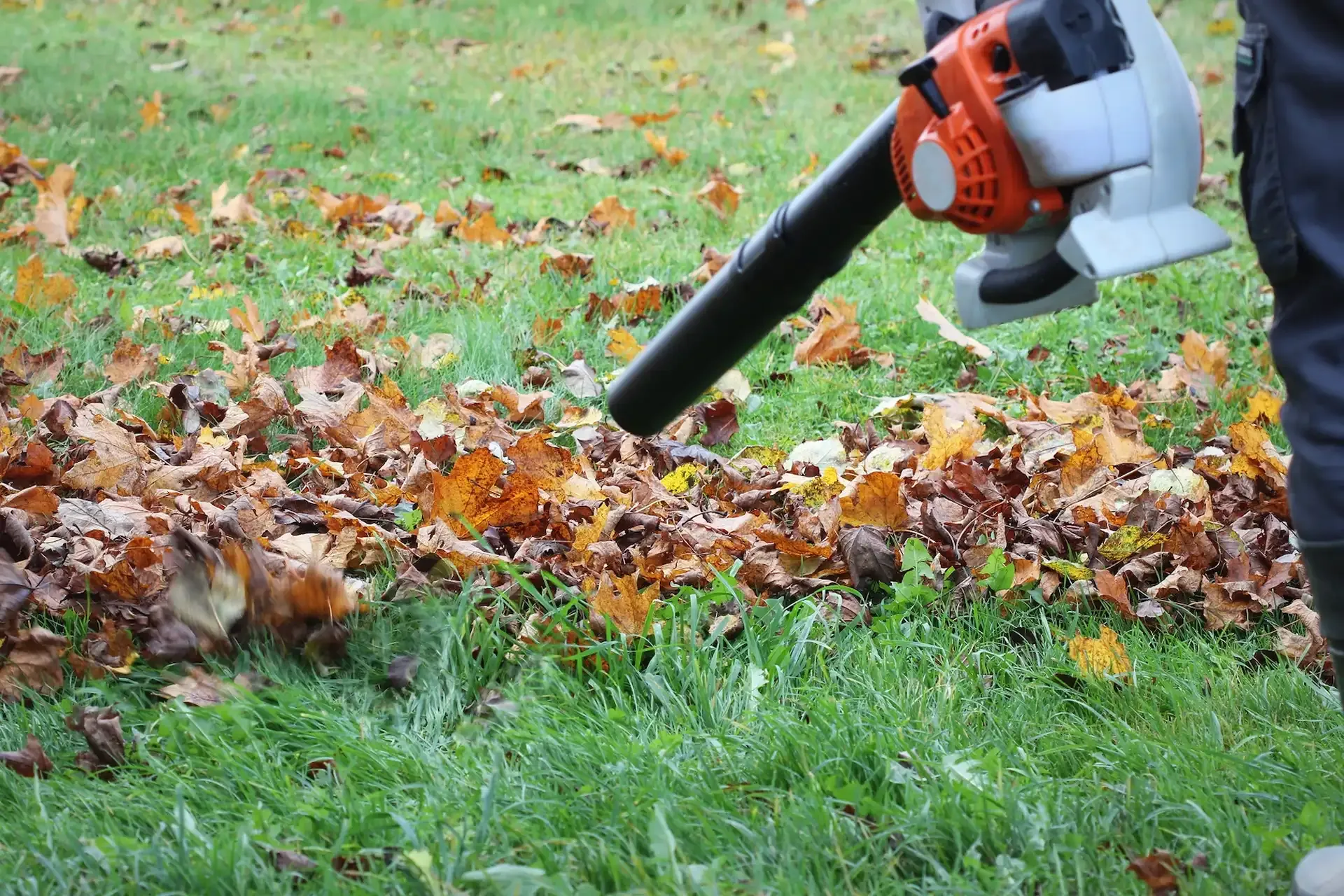 Person using a leaf blower on a grassy lawn with fallen leaves.