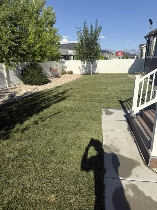 Lawn in backyard with white fence, trees, and shadow on the grass, sunny day.