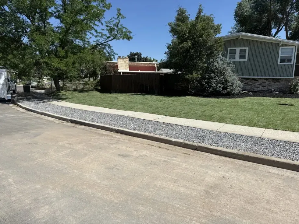 Asphalt street with a gravel and grass border, and a house.