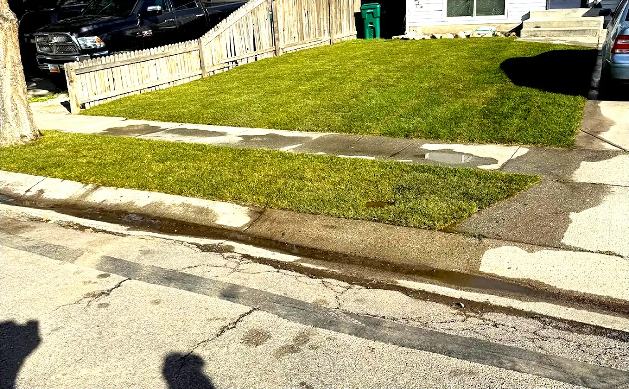 Lush green lawn with sidewalk edge. Water pooling on sidewalk. Fence and house visible in background.