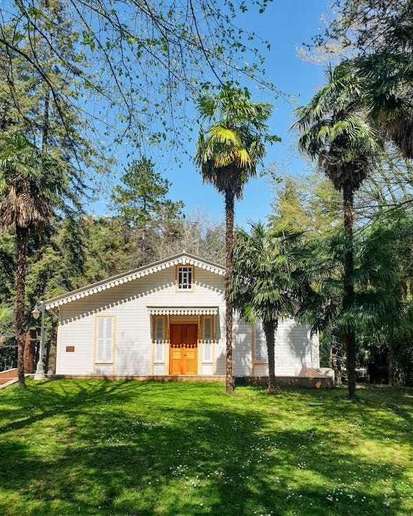 White building with brown door, surrounded by palm trees and greenery under a blue sky. White building with brown door, surrounded by palm trees and greenery under a blue sky.