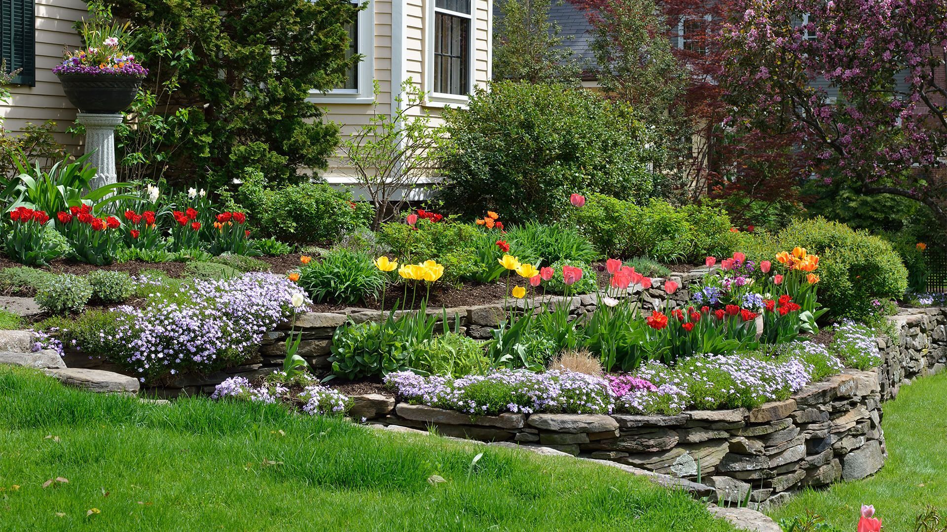 Stone-walled garden with tiers of colorful flowers and greenery, in front of a house, on a sunny day. Stone-walled garden with tiers of colorful flowers and greenery, in front of a house, on a sunny day.