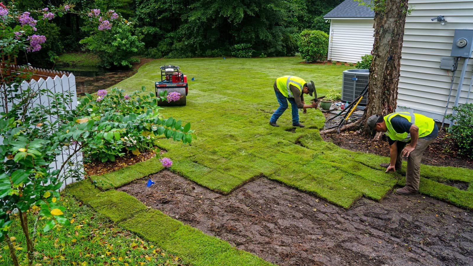 Lawn care workers install sod on a yard, using tools and wearing safety vests. Lawn care workers install sod on a yard, using tools and wearing safety vests.