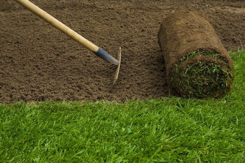 A roll of sod beside a prepared area of soil with a rake, already laid grass in foreground.