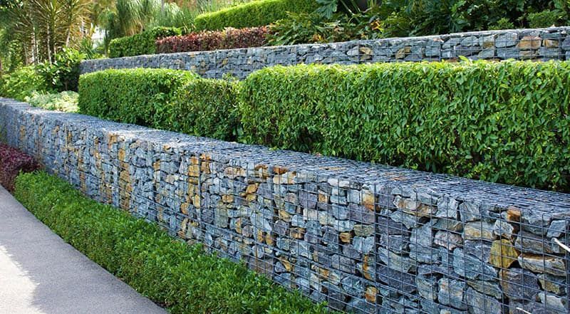Stone and wire retaining walls with tiers of trimmed green hedges.