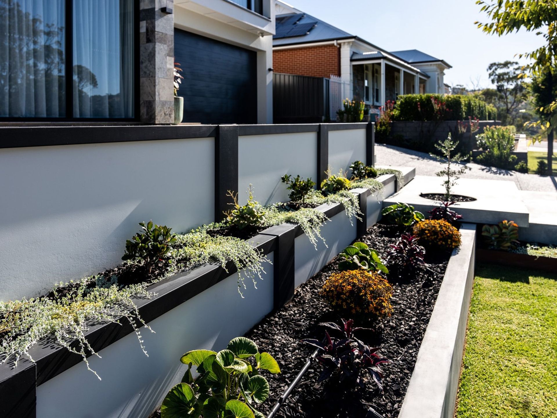 Modern landscaped garden bed with various plants and black mulch along a wall. Modern landscaped garden bed with various plants and black mulch along a wall.