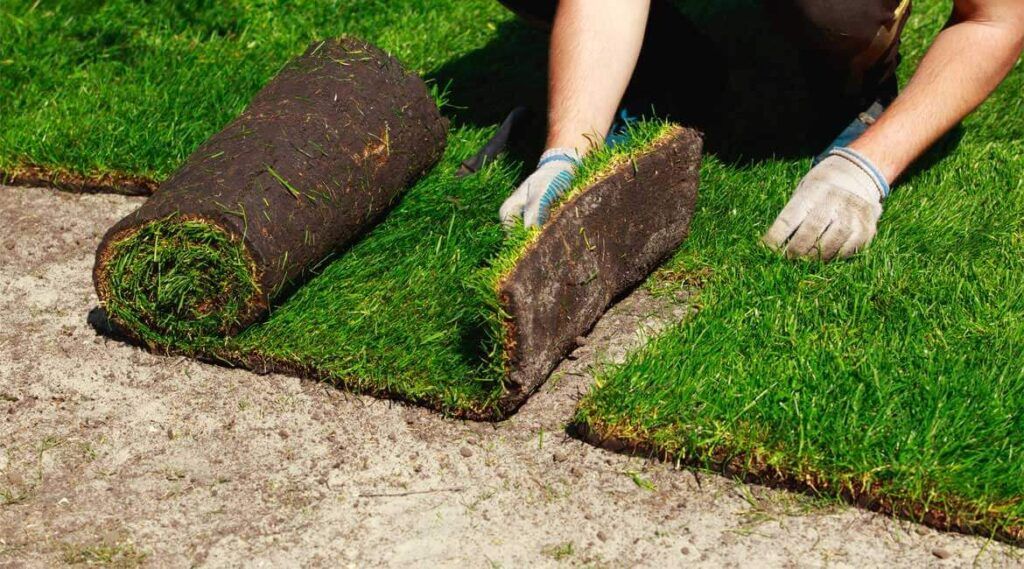 Person laying sod, wearing gloves, rolling and placing grass pieces on soil. Person laying sod, wearing gloves, rolling and placing grass pieces on soil.