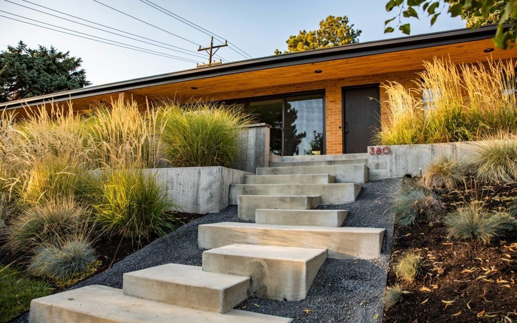 Concrete steps lead to a modern home with a wooden facade, surrounded by tall grasses.