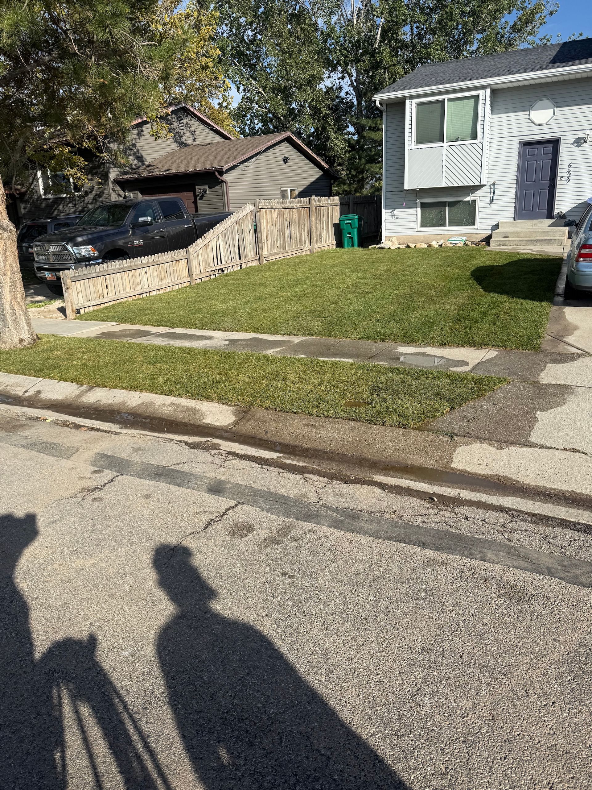 Lawn in front of a light blue building, brown wooden fence, black car, sidewalk, and shadow of a person.
