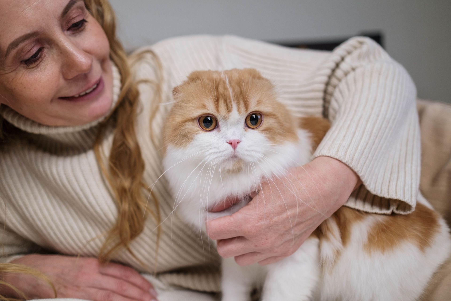https://www.pexels.com/photo/woman-in-white-sweater-holding-orange-and-white-cat-6865041/