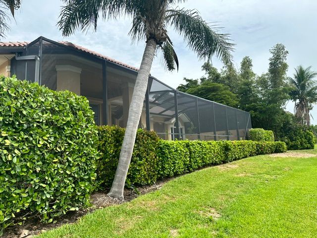 Backyard with screened patio, palm trees, and manicured hedges beside a green lawn