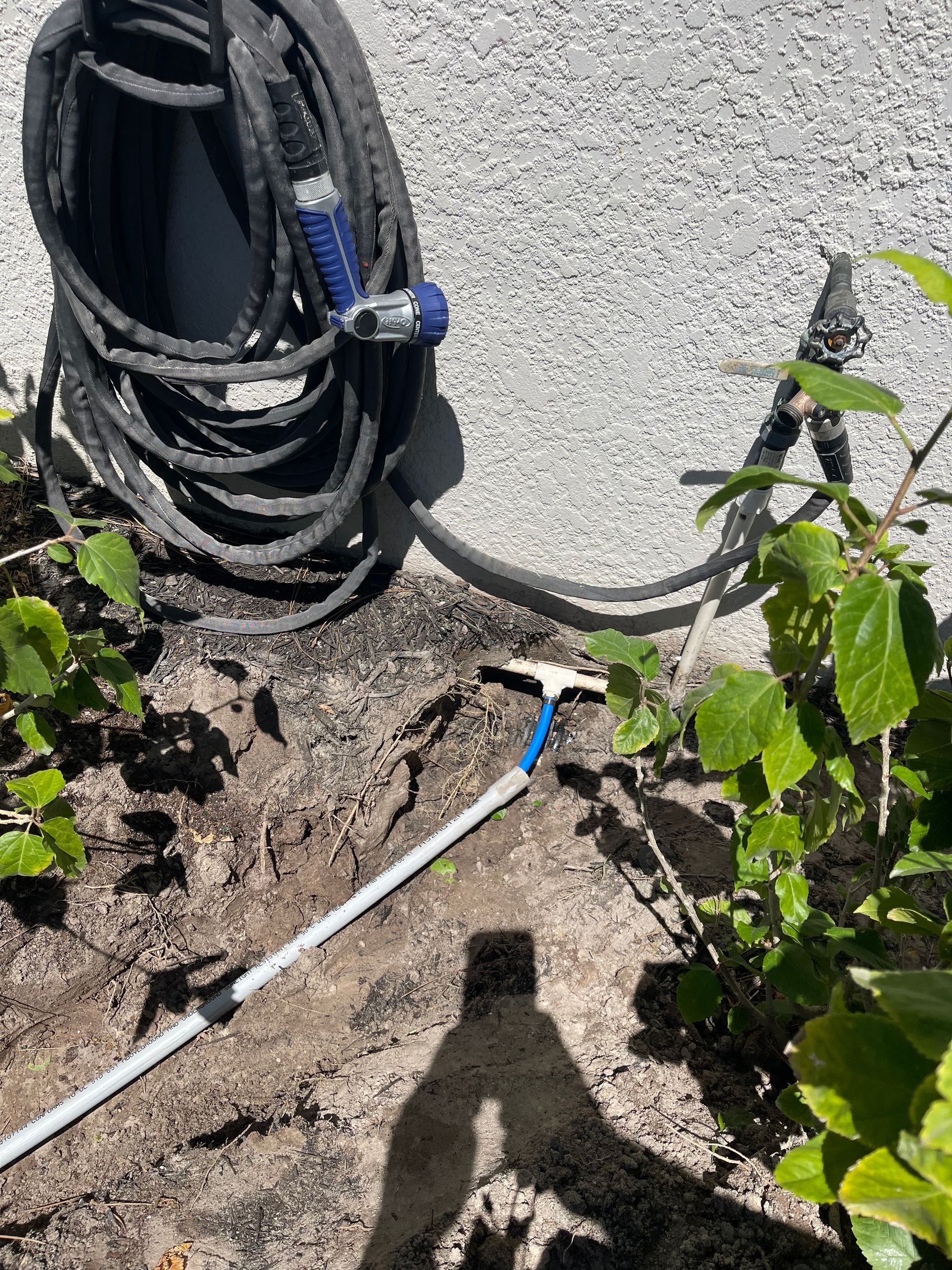 A hose is sitting on the ground next to a plant.