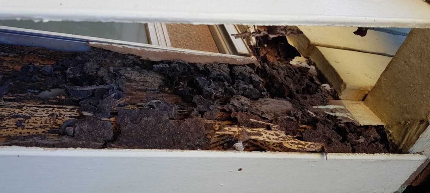 A Close Up of a Piece of Wood With a Lot of Dirt on It — Superior Termite & Pest Control in Bundaberg, QLD