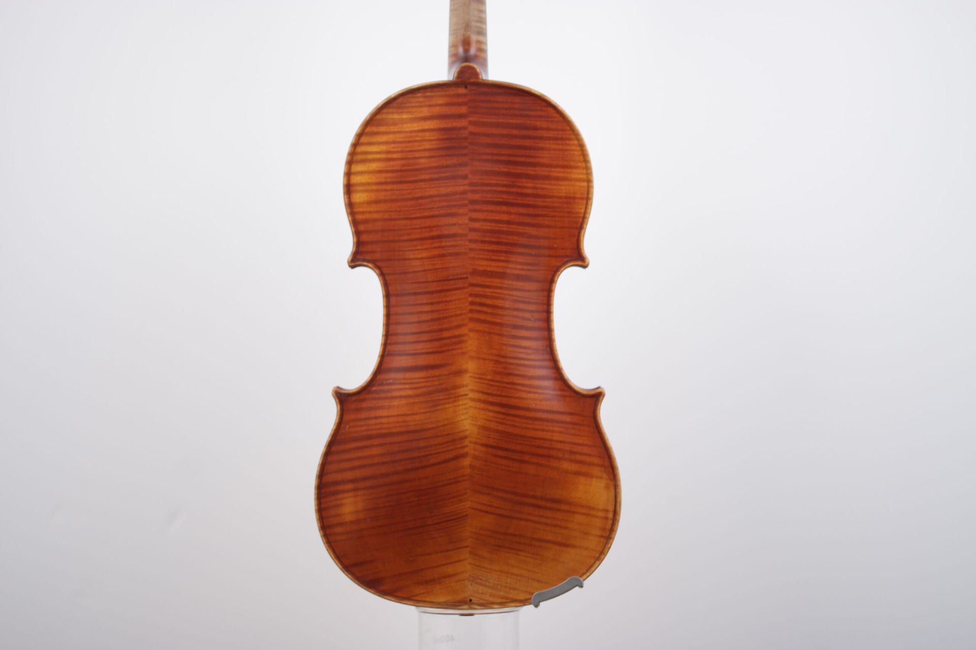 The back of a violin is shown on a white background.