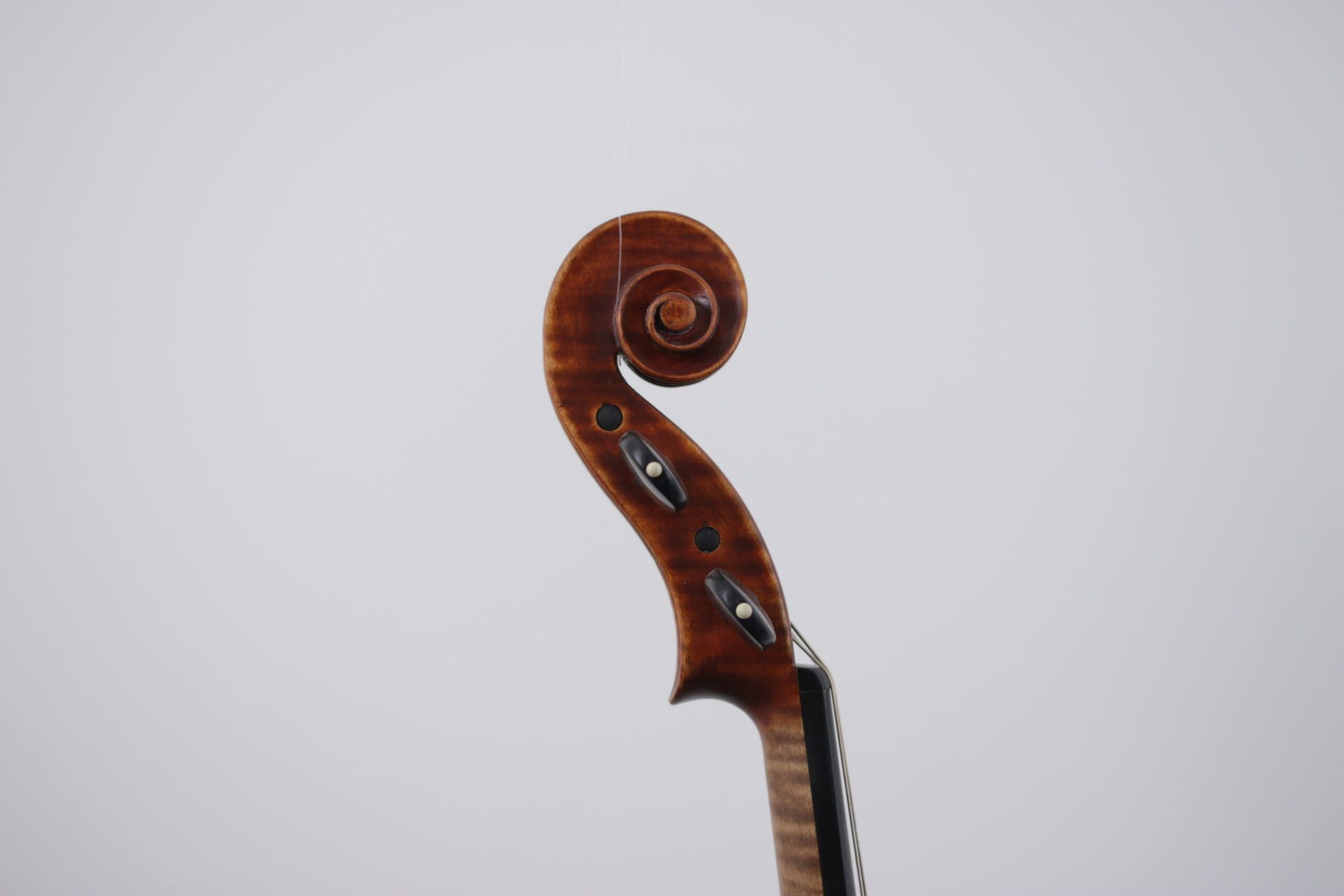 A close up of a violin scroll on a white background