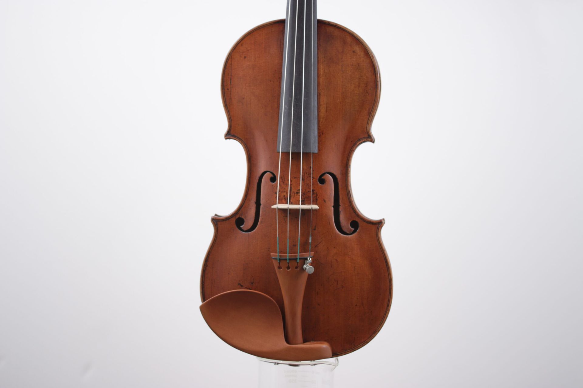 A close up of a violin on a white background