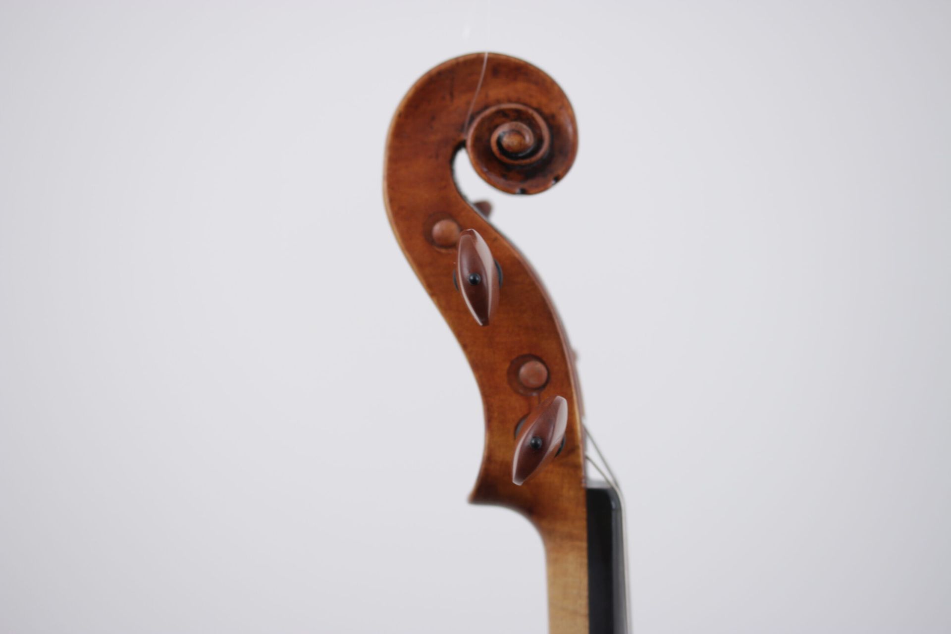 A close up of a violin headstock on a white background