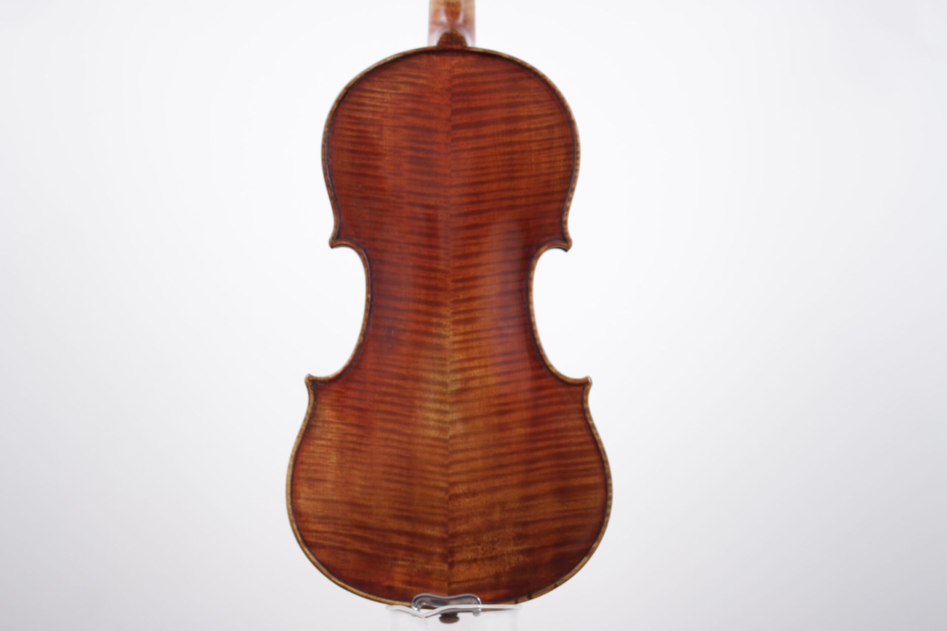 The back of a violin is shown on a white background