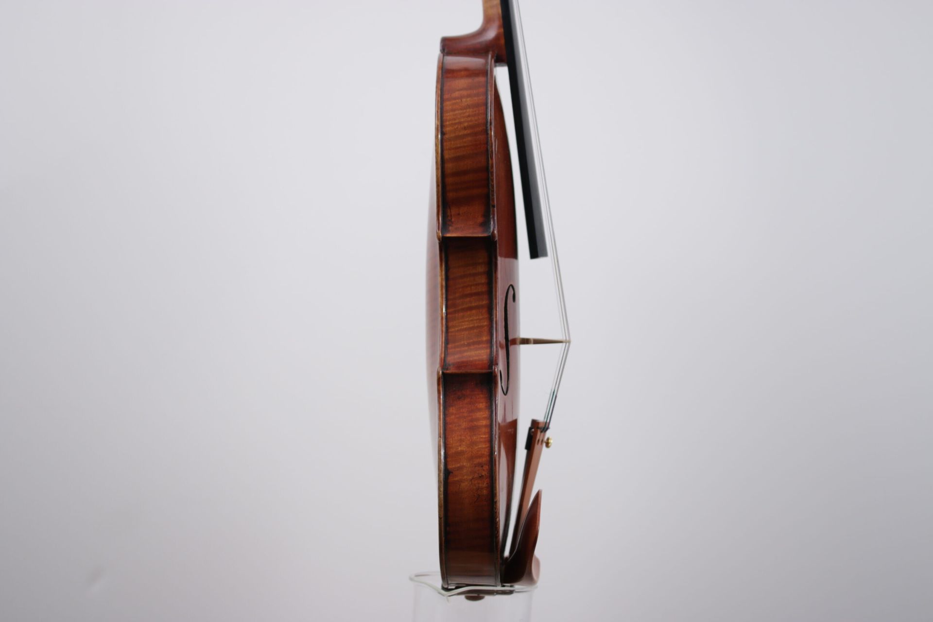 A close up of a violin on a white background.