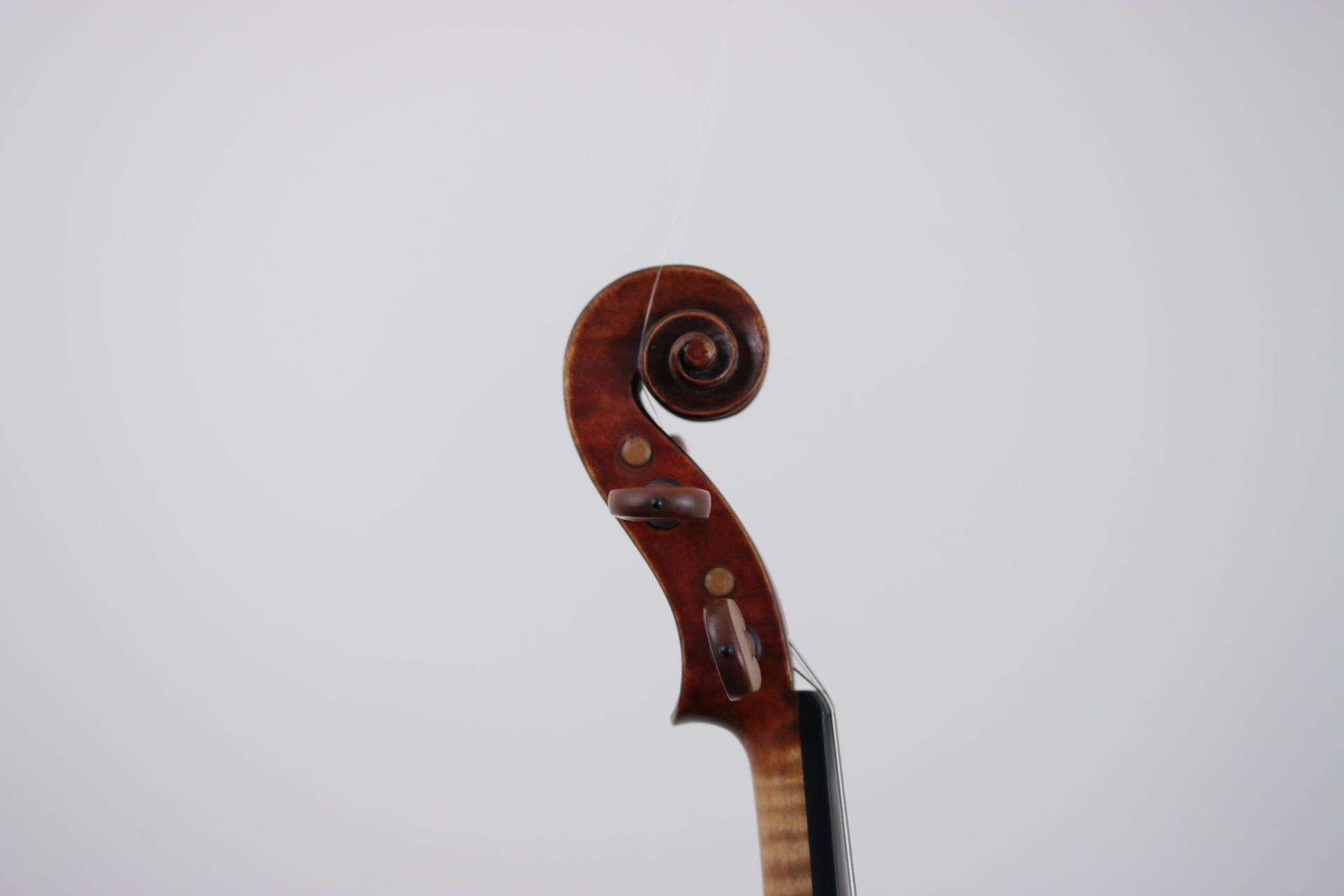A close up of a violin headstock on a white background