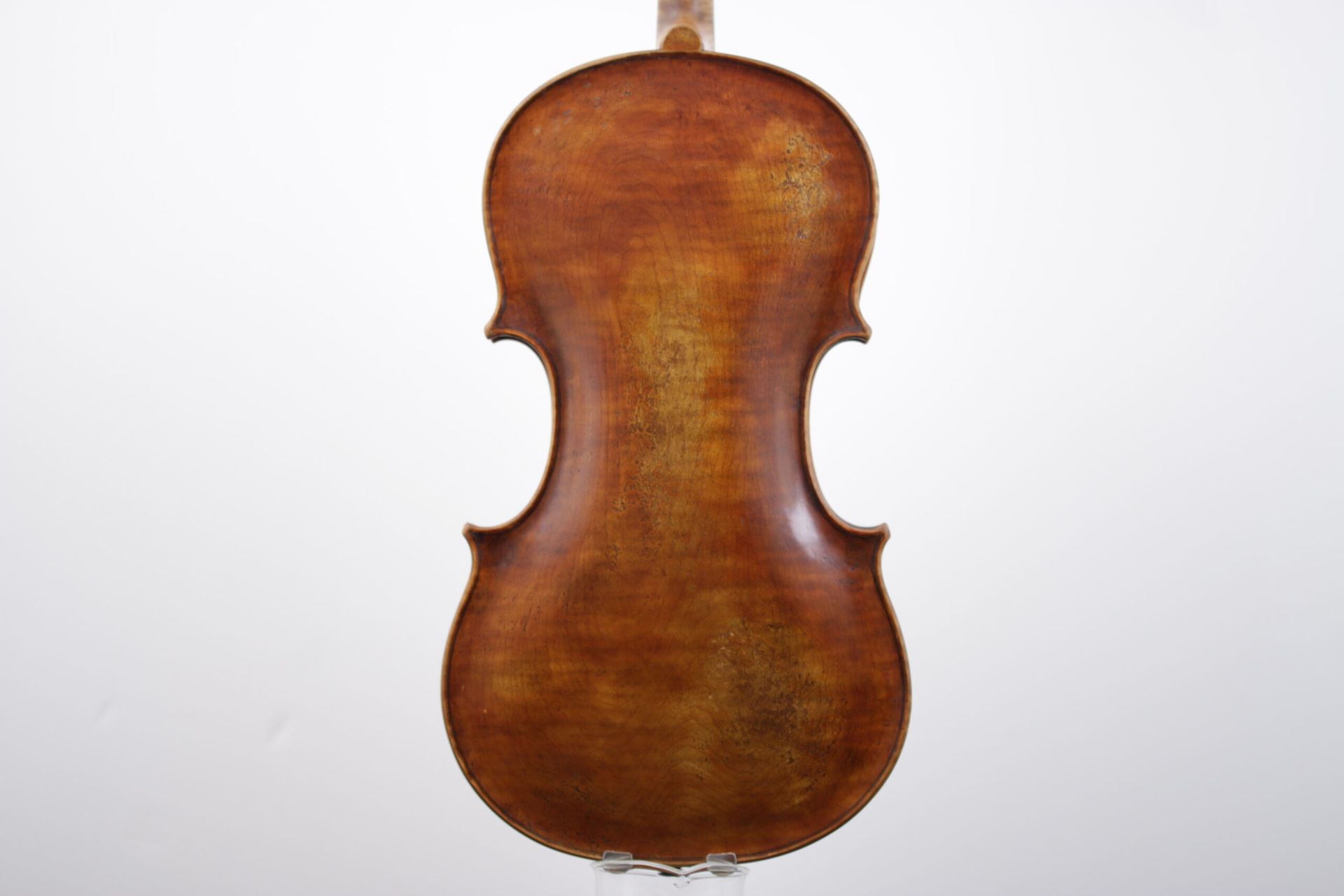The back of a violin is shown on a white background