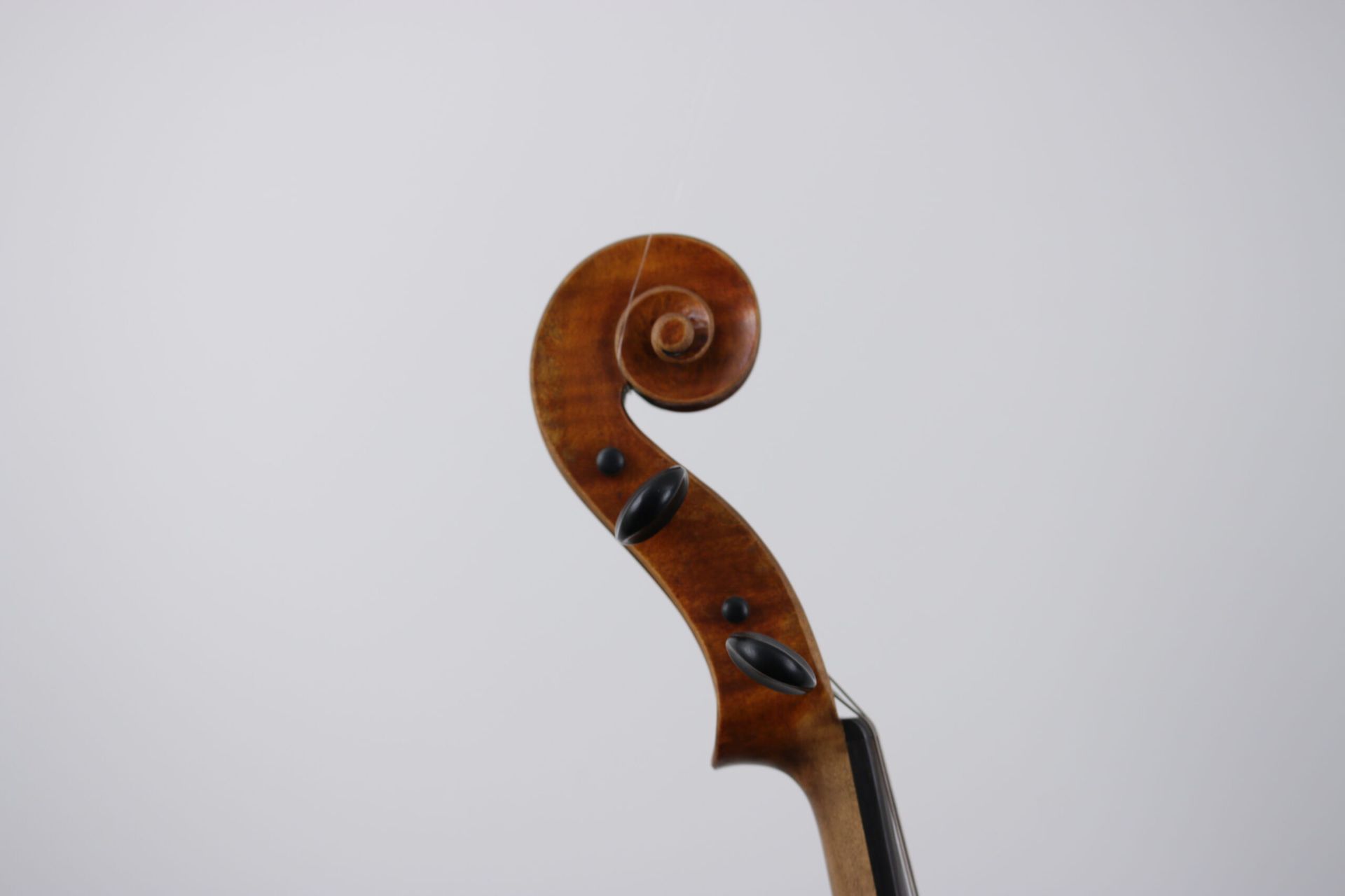 A close up of a violin scroll on a white background.
