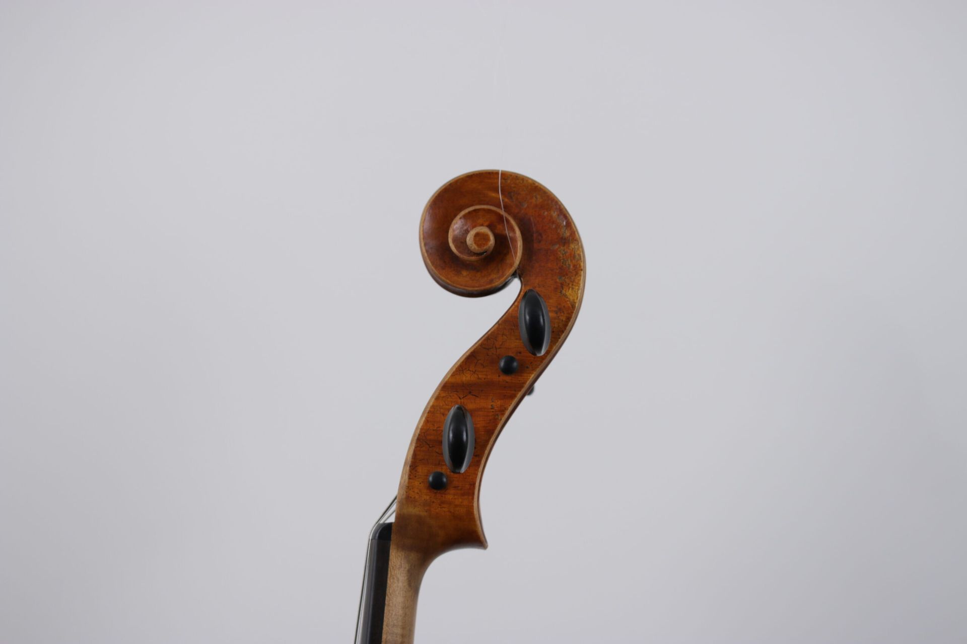 A close up of a violin scroll on a white background
