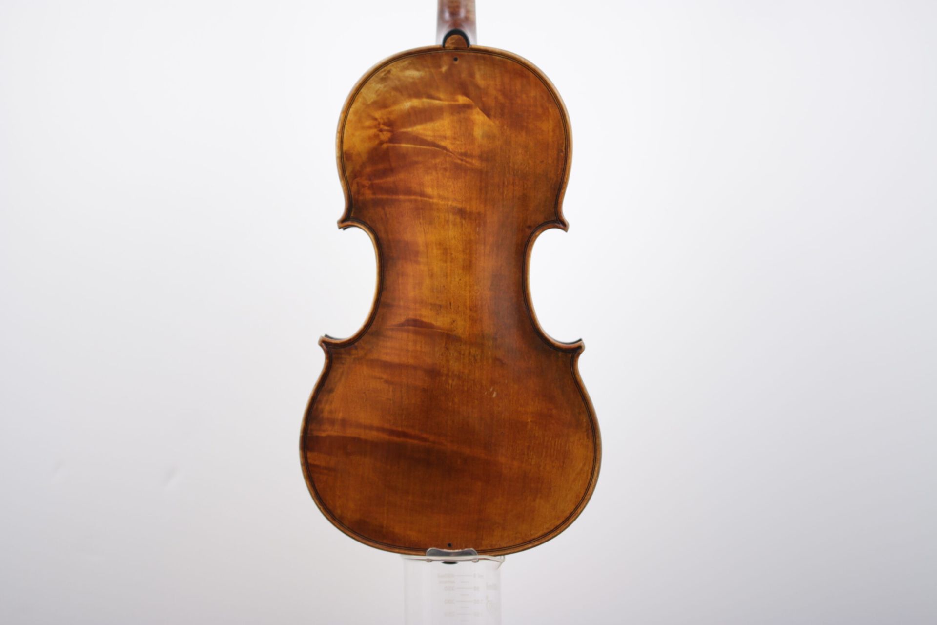 The back of a violin is shown on a white background.
