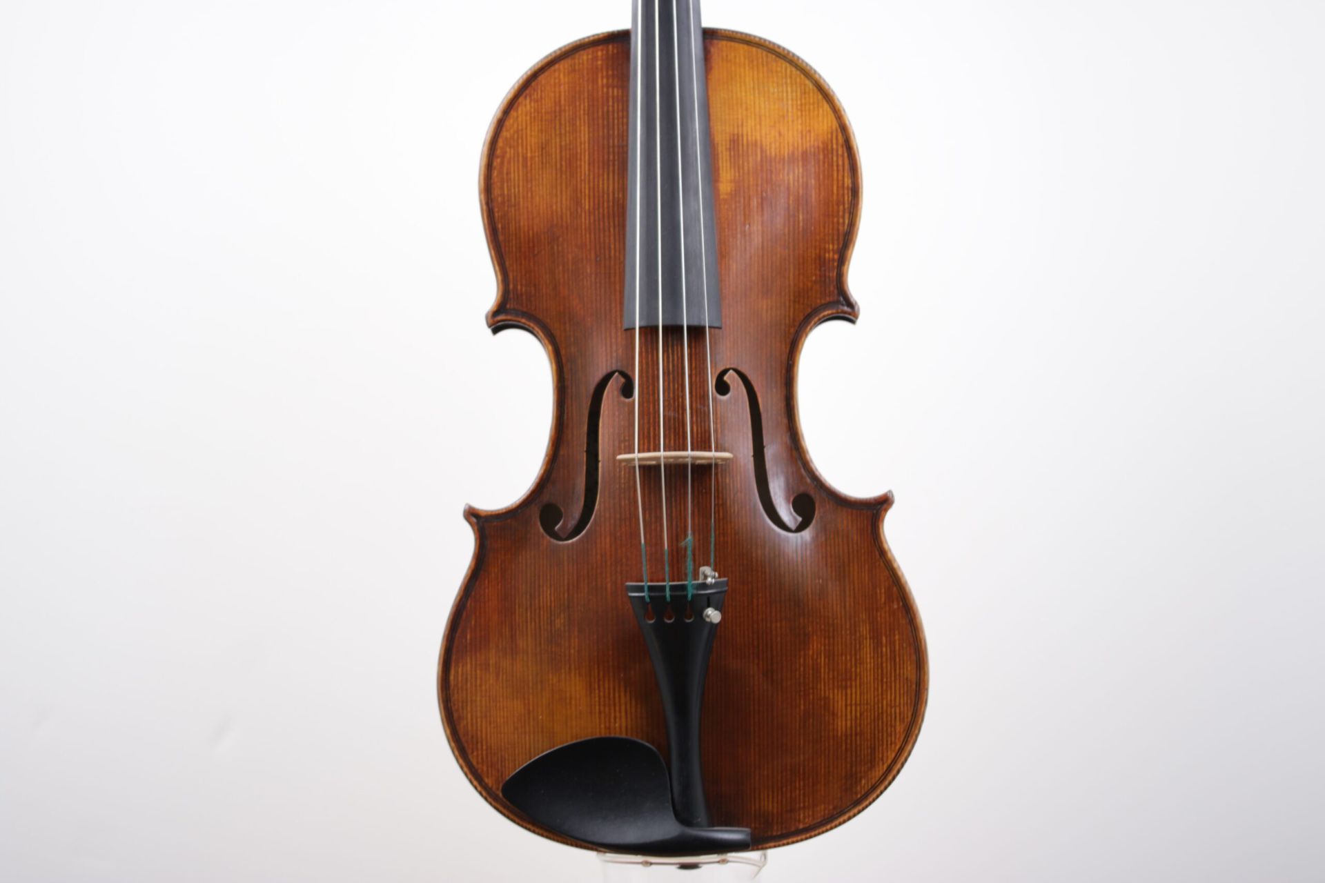 A close up of a violin on a white background