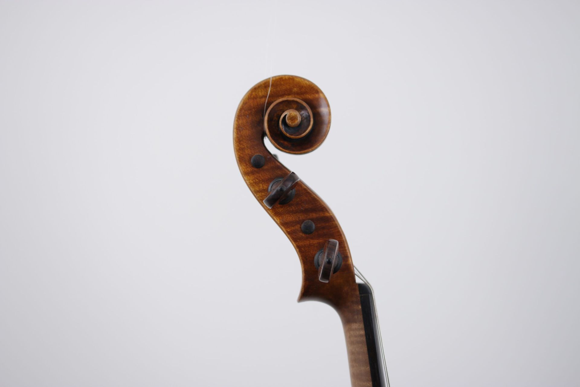 A close up of a violin scroll on a white background