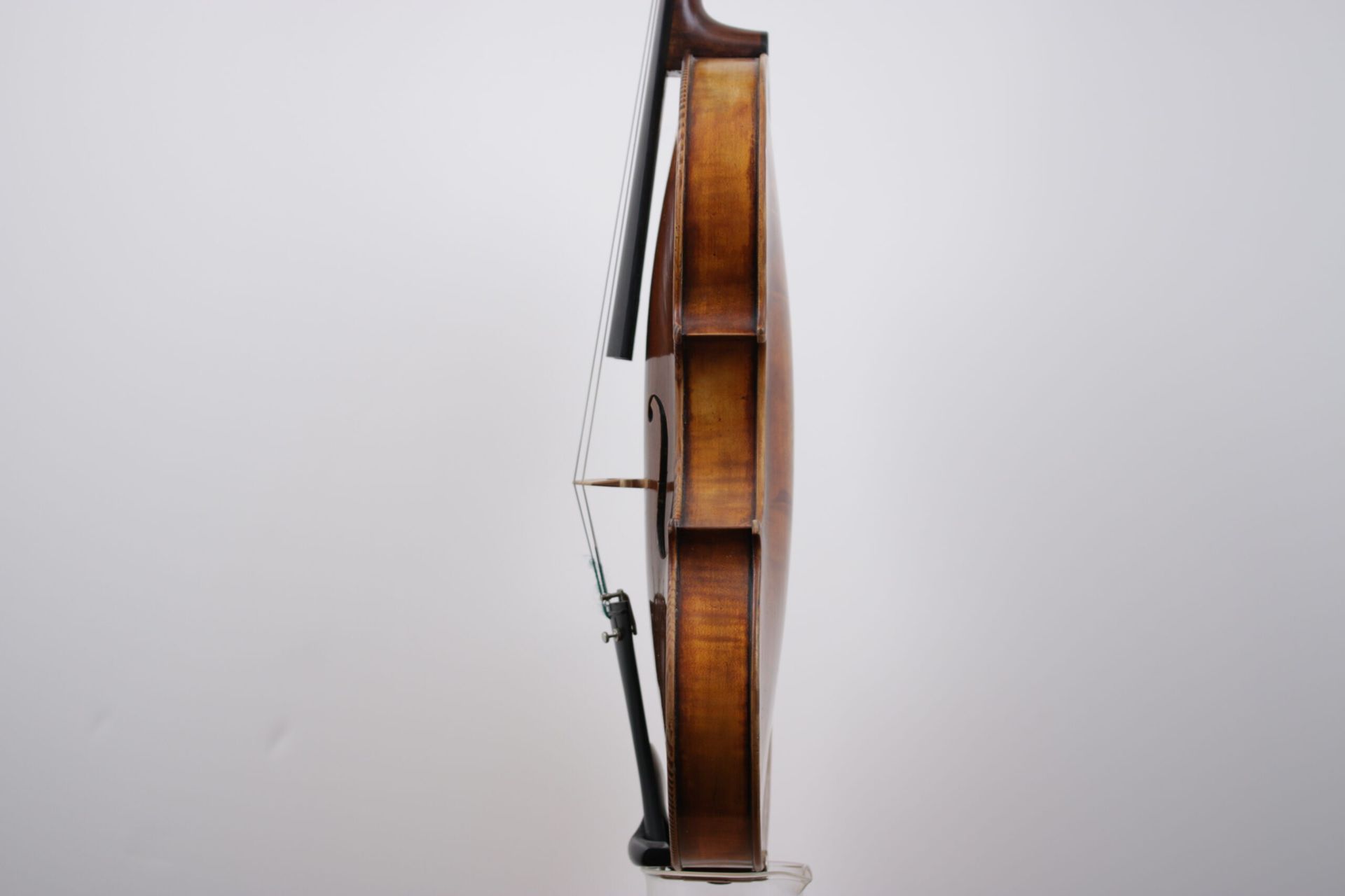 A close up of a violin on a white background