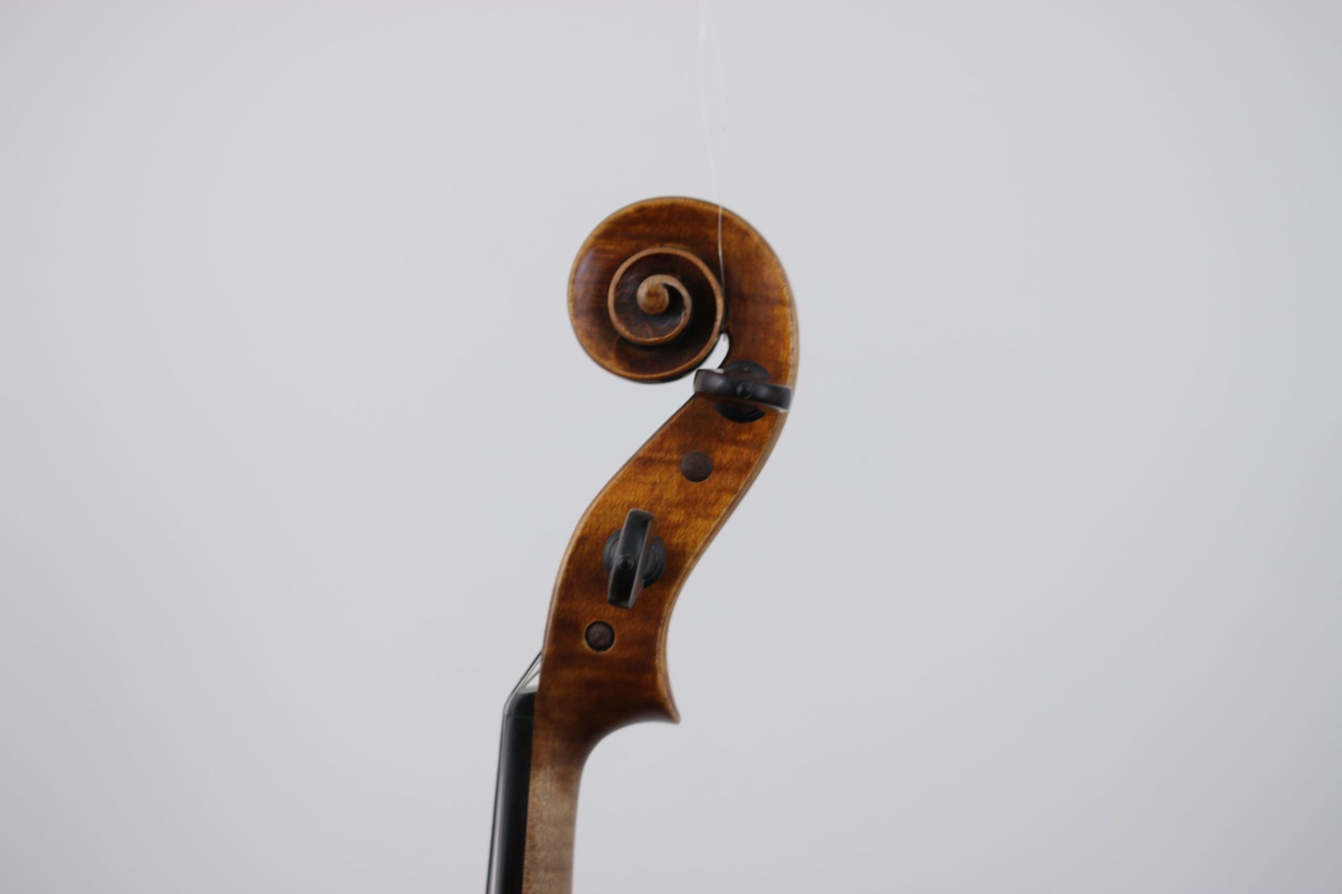 A close up of a violin scroll on a white background