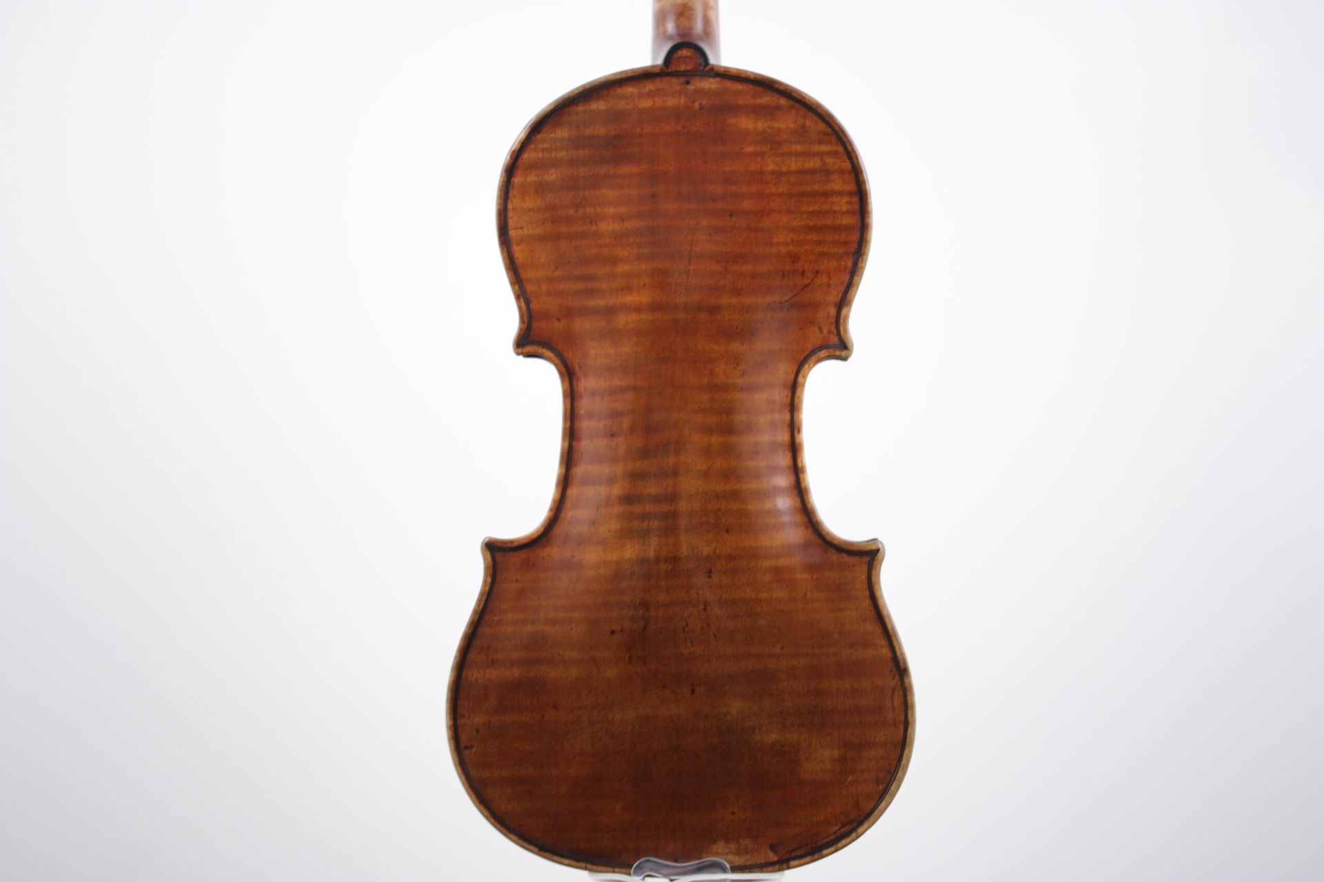 The back of a violin is shown on a white background