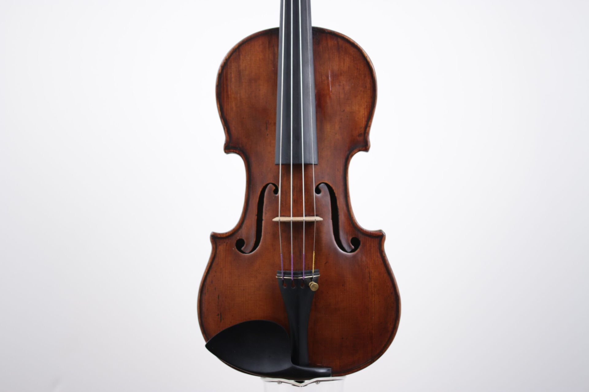 A close up of a violin on a white background