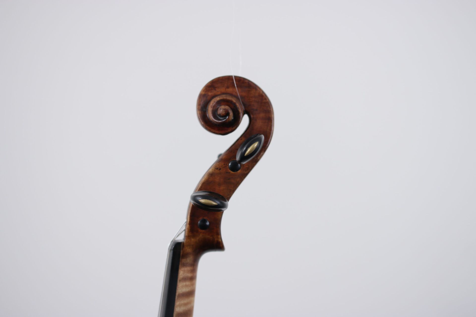 A close up of a violin scroll on a white background.