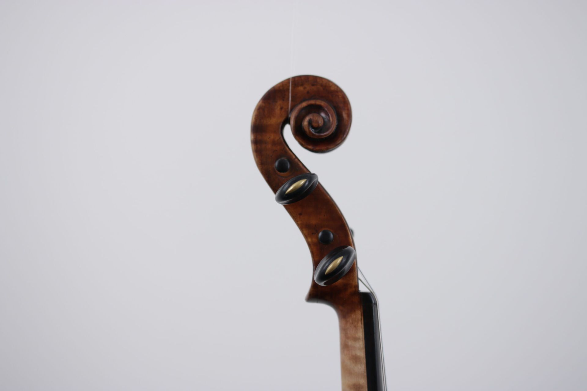 A close up of a violin 's scroll on a white background