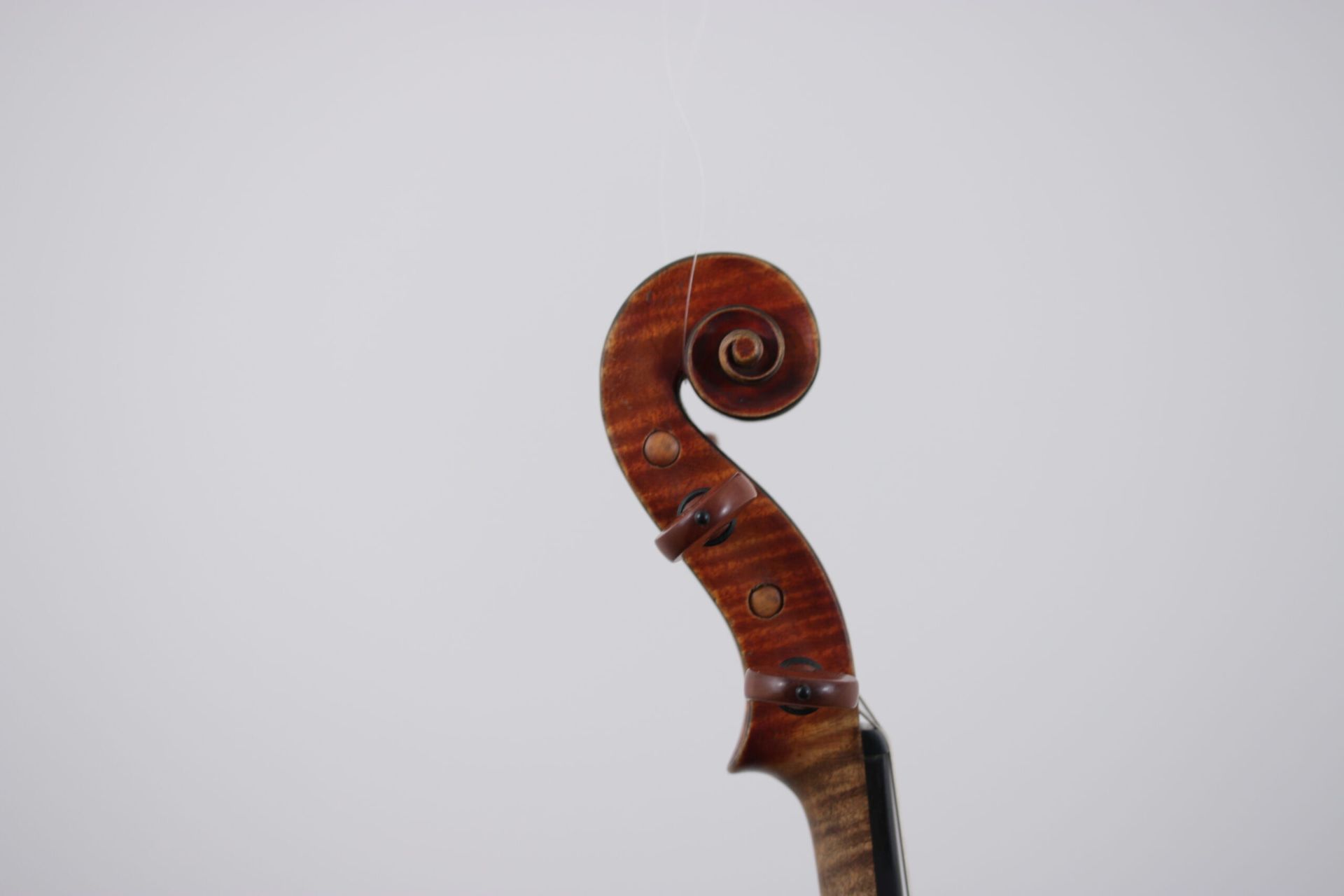 A close up of a violin head on a white background