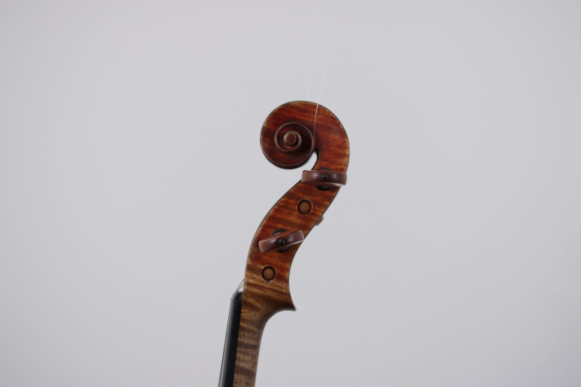 A close up of a violin scroll on a white background