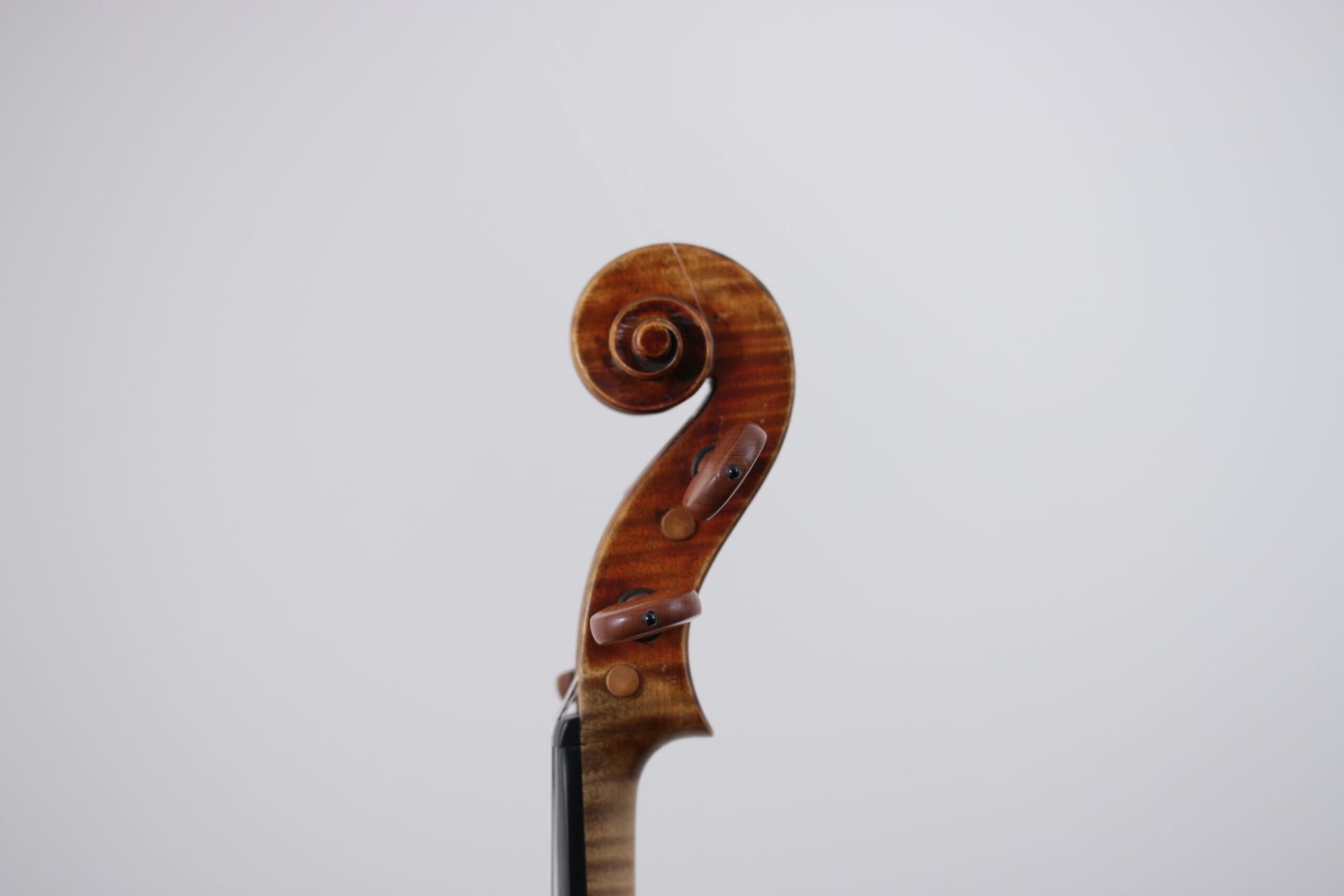 A close up of a violin headstock on a white background.