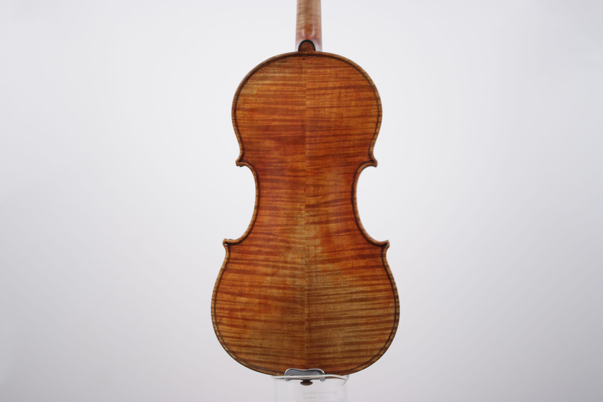 The back of a violin is shown on a white background.