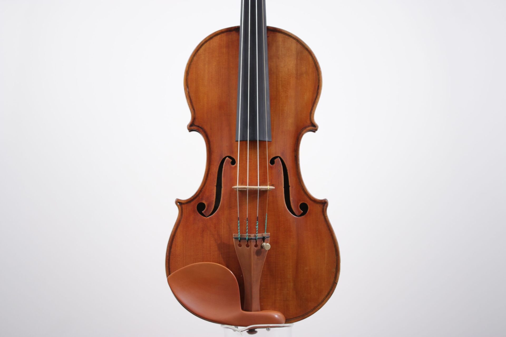 A close up of a violin on a white background