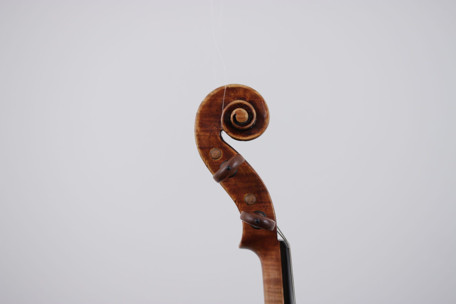 A close up of a violin scroll on a white background.