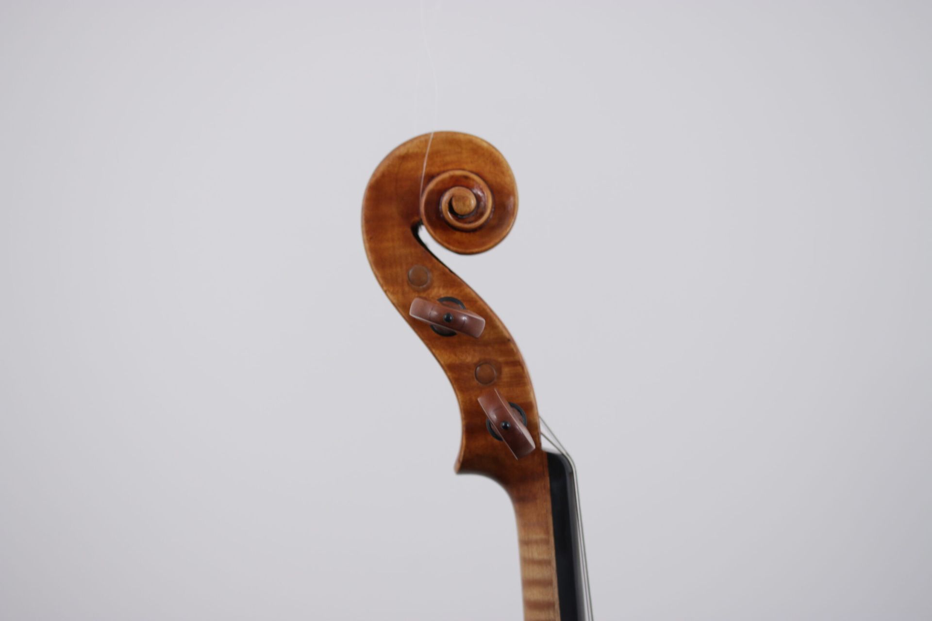 A close up of a violin headstock on a white background.