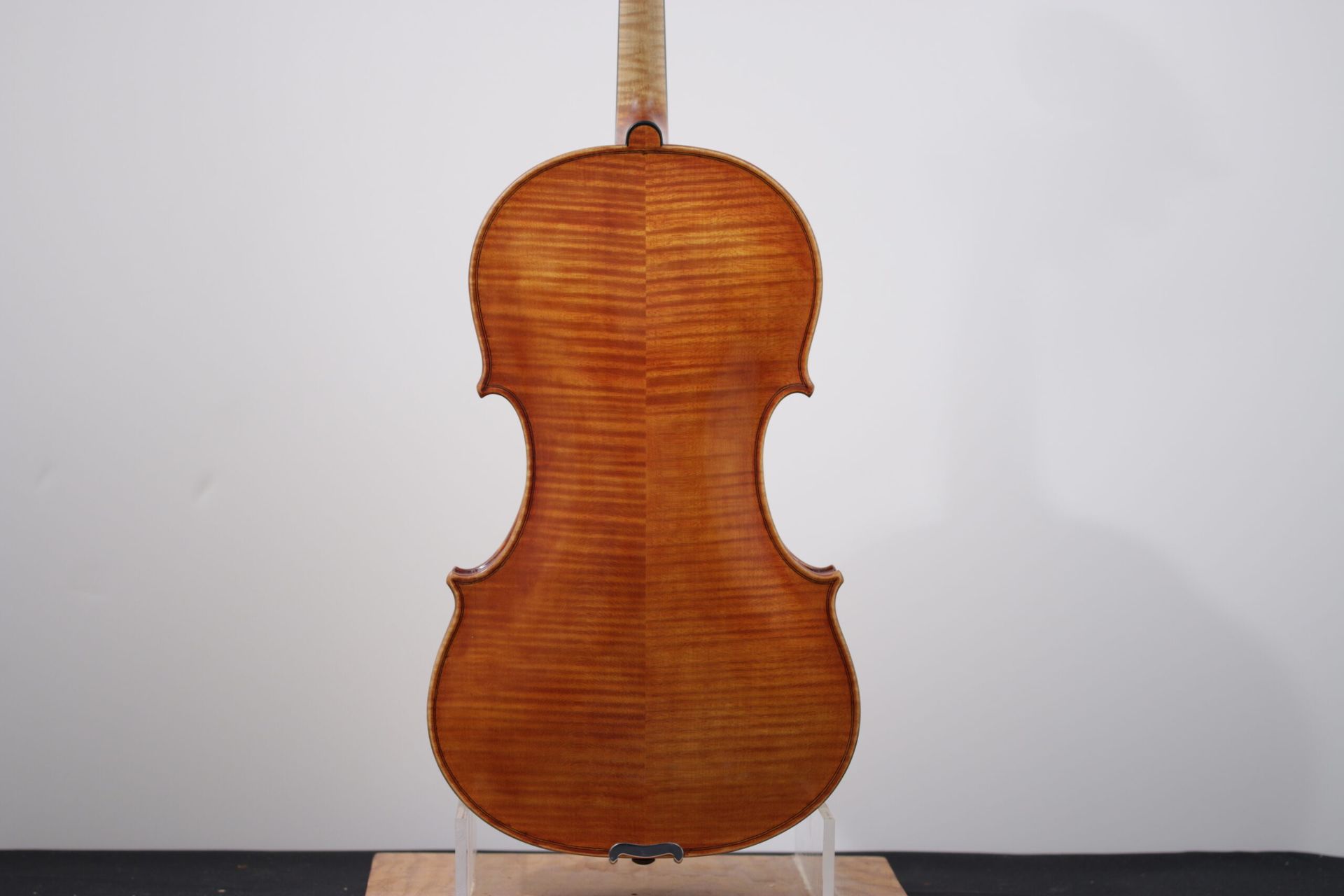 The back of a violin is shown on a stand.