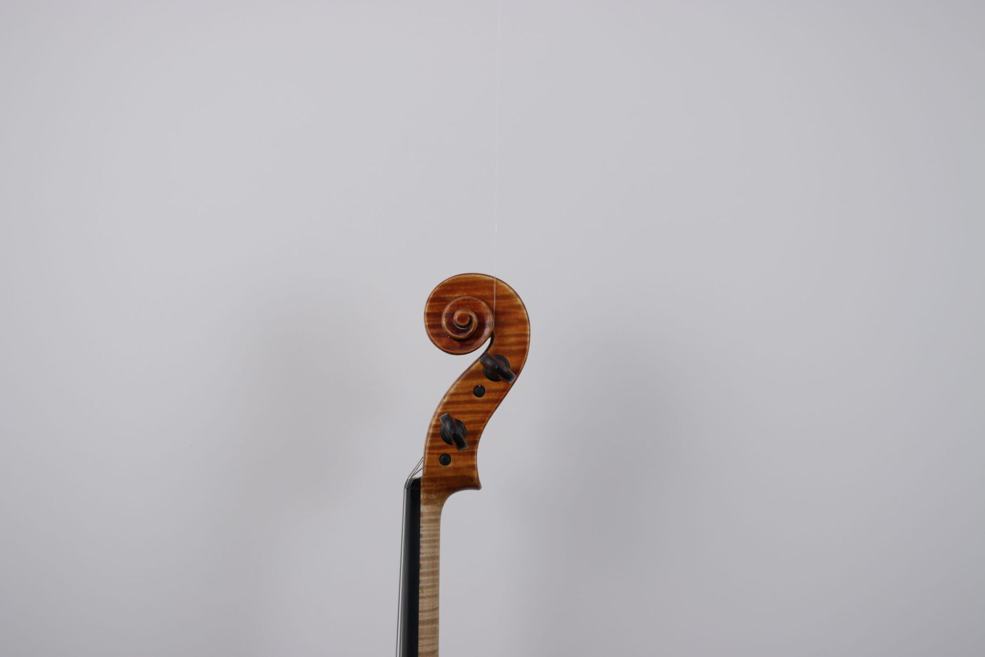 A close up of a violin headstock against a white wall.