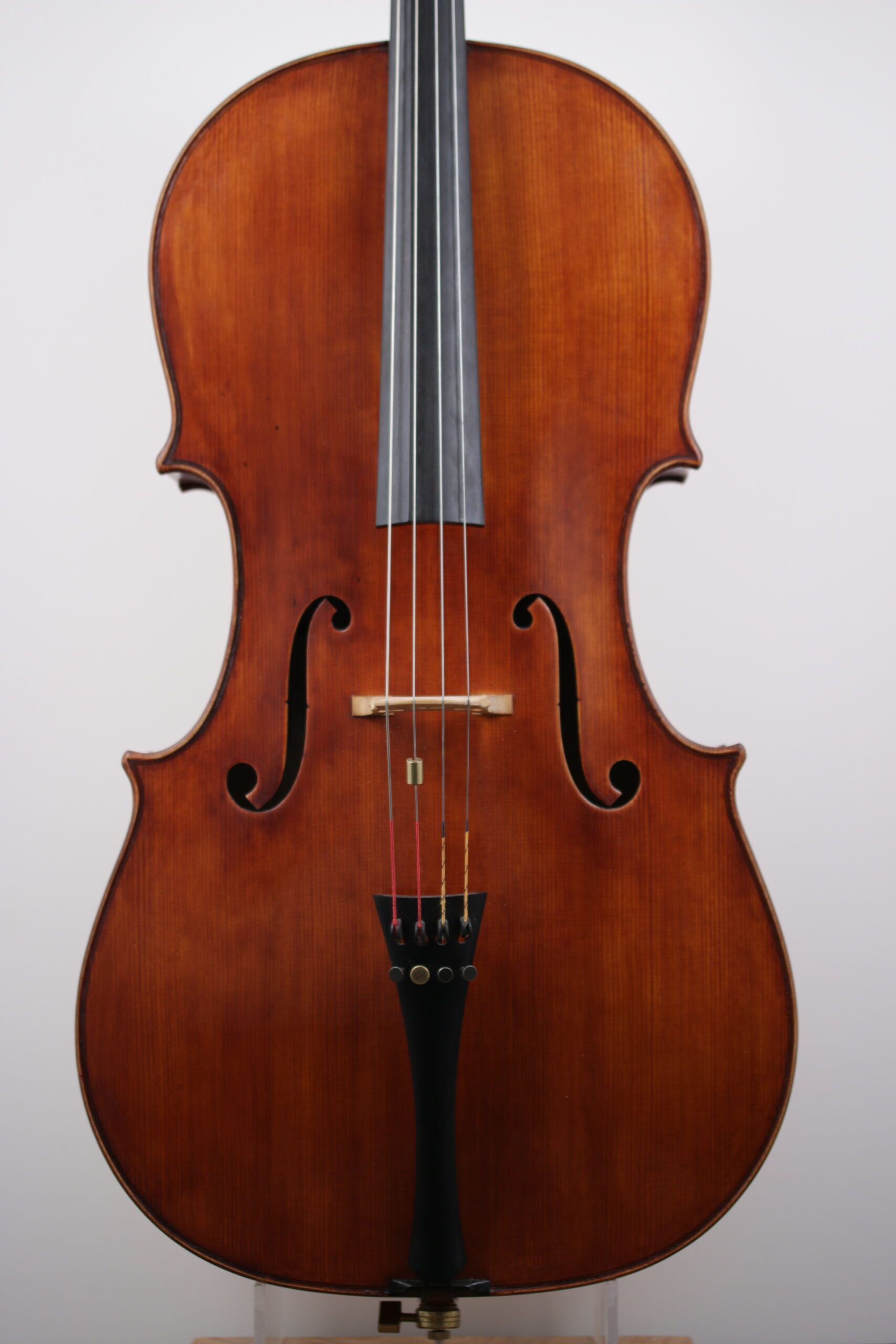 A close up of a cello on a white background