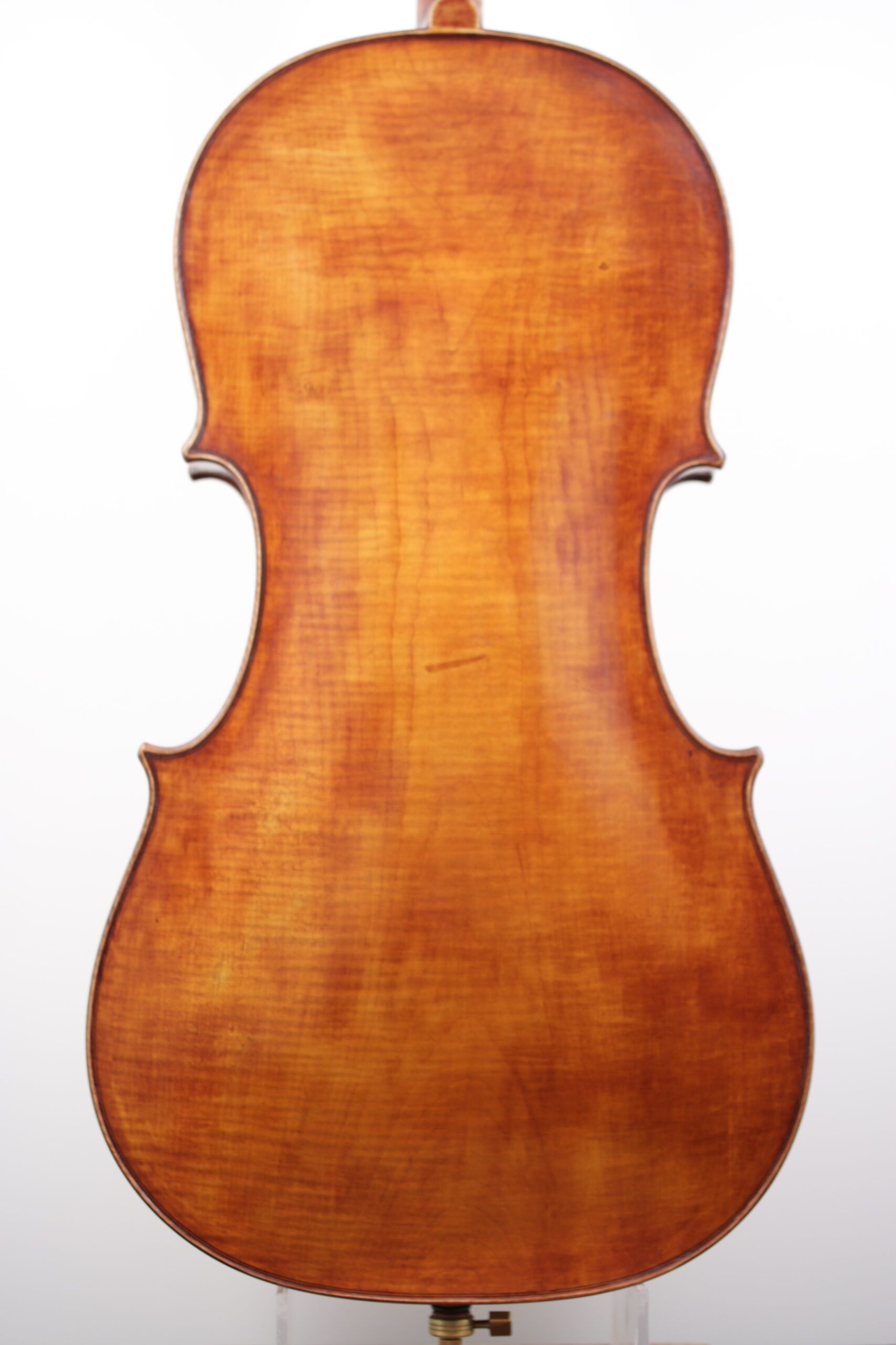 The back of a cello with a white background